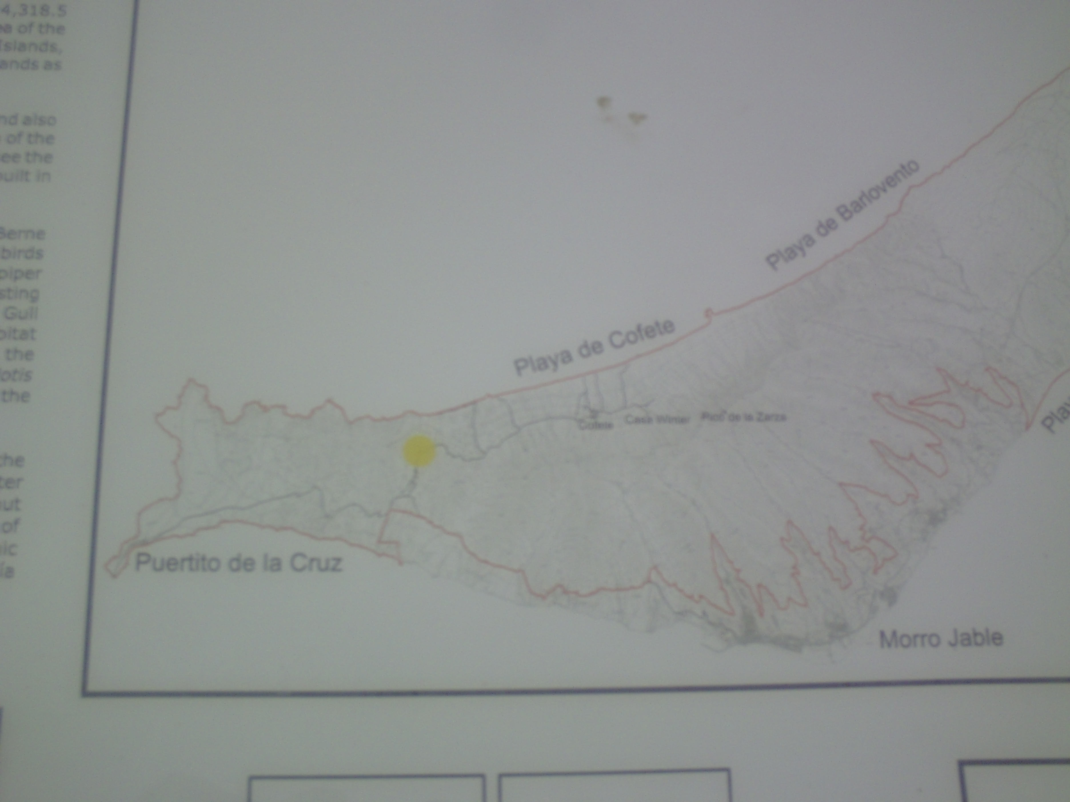 PICT0428.JPG