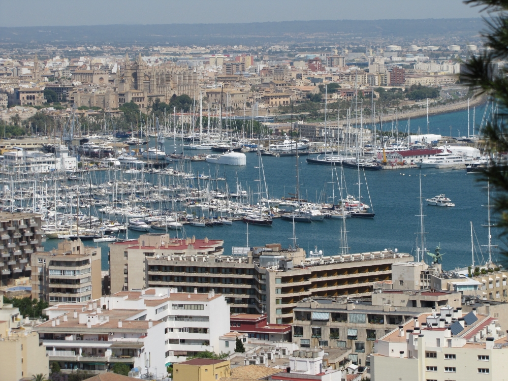 Palma miestas