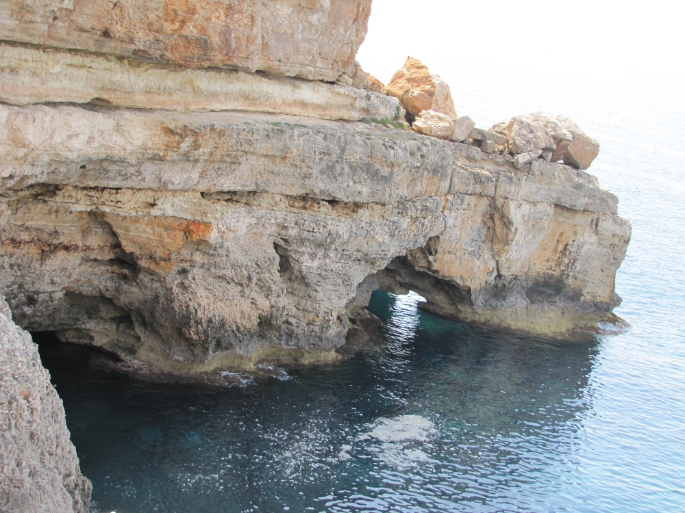 IMG_7131.JPG